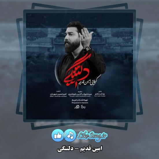 دانلود نماهنگ امین قدیم دلتنگی